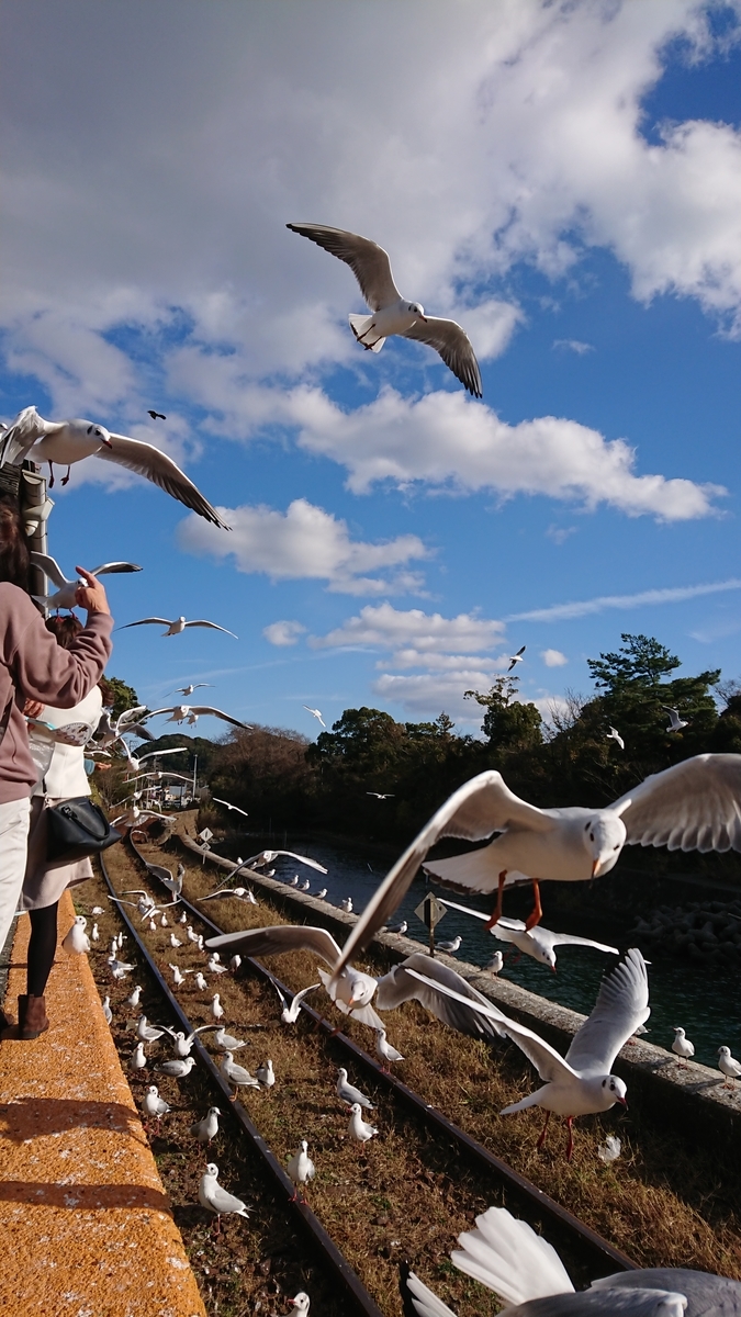 f:id:randonneefield:20210113191536j:plain