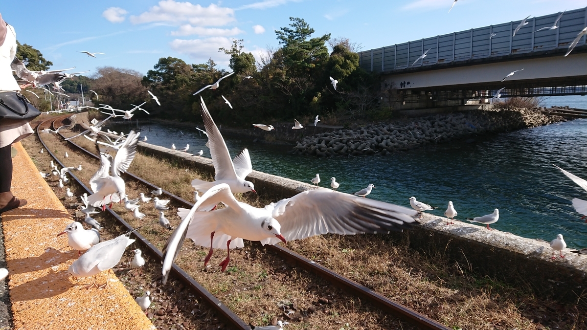 f:id:randonneefield:20210113193222j:plain