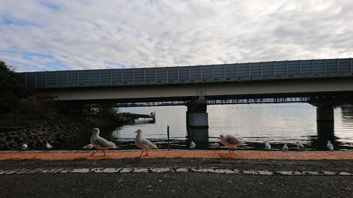 f:id:randonneefield:20210113194414j:plain