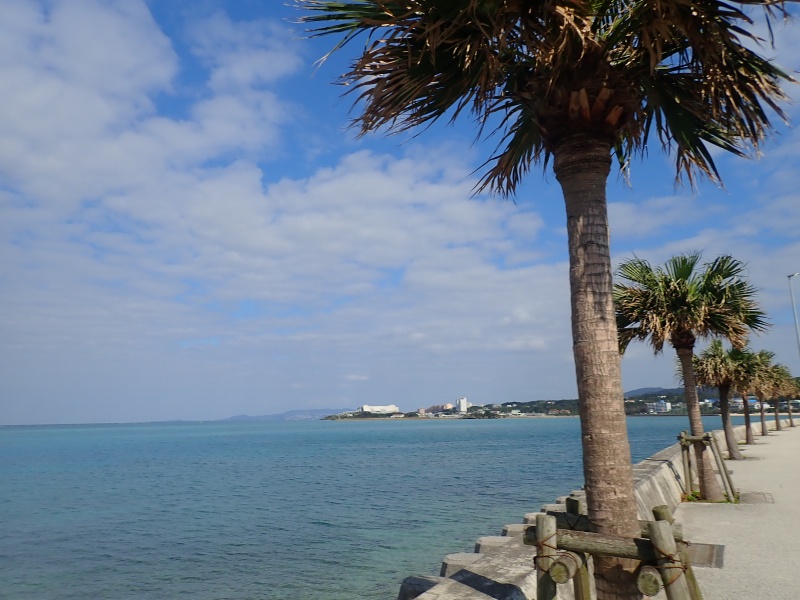 f:id:randonneefield:20210113234827j:plain