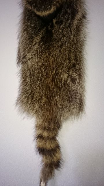 f:id:randonneefield:20210201003515j:plain