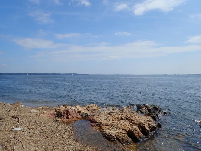 f:id:randonneefield:20210201195027j:plain