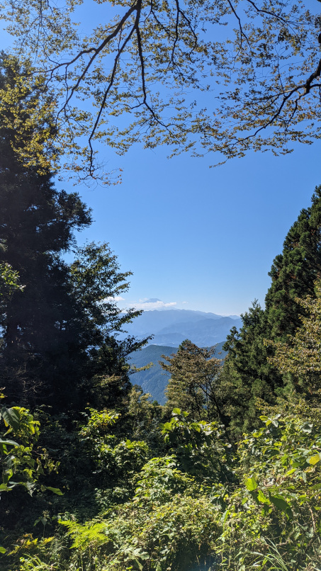 景信山からの富士山