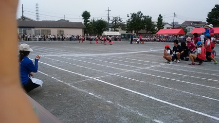 f:id:ranjo:20160528092722j:image f:id:ranjo:20160528092722j:image