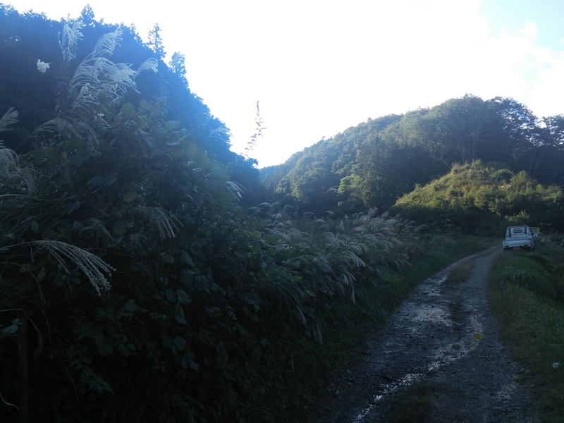 f:id:rankastar:20131027150619j:image:w360