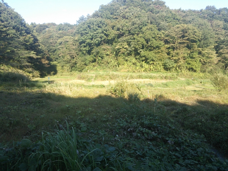f:id:rankastar:20131027150852j:image:w360