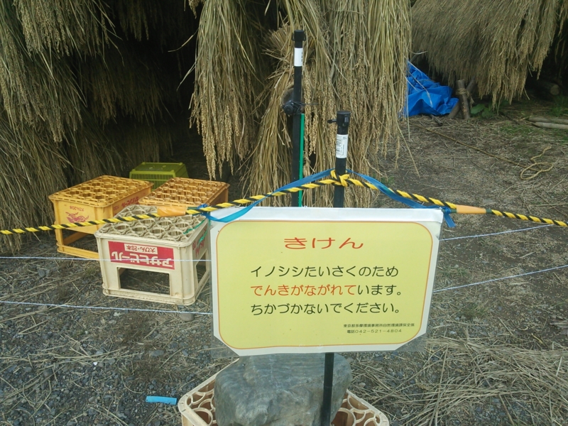 f:id:rankastar:20131027151100j:image:w360