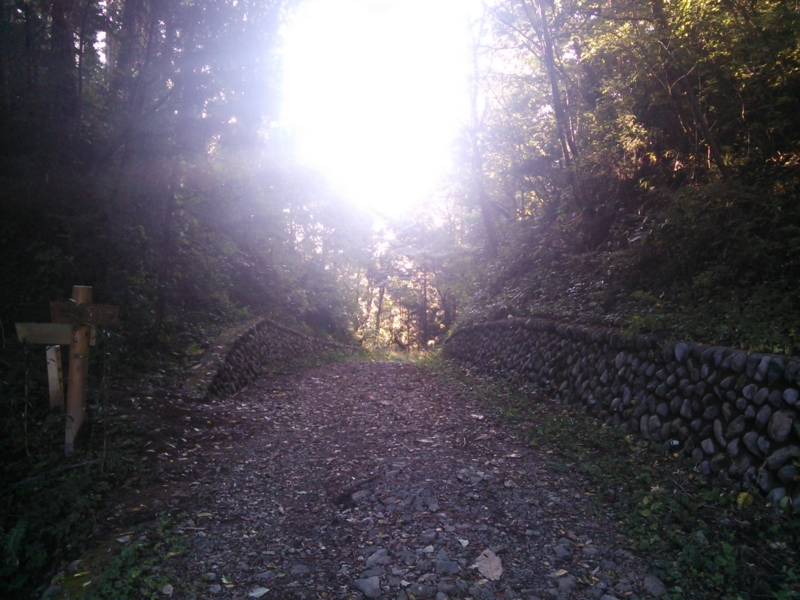 f:id:rankastar:20131027152339j:image:w360