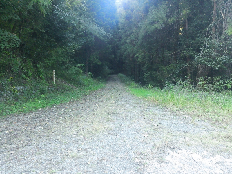f:id:rankastar:20131027152417j:image:w360
