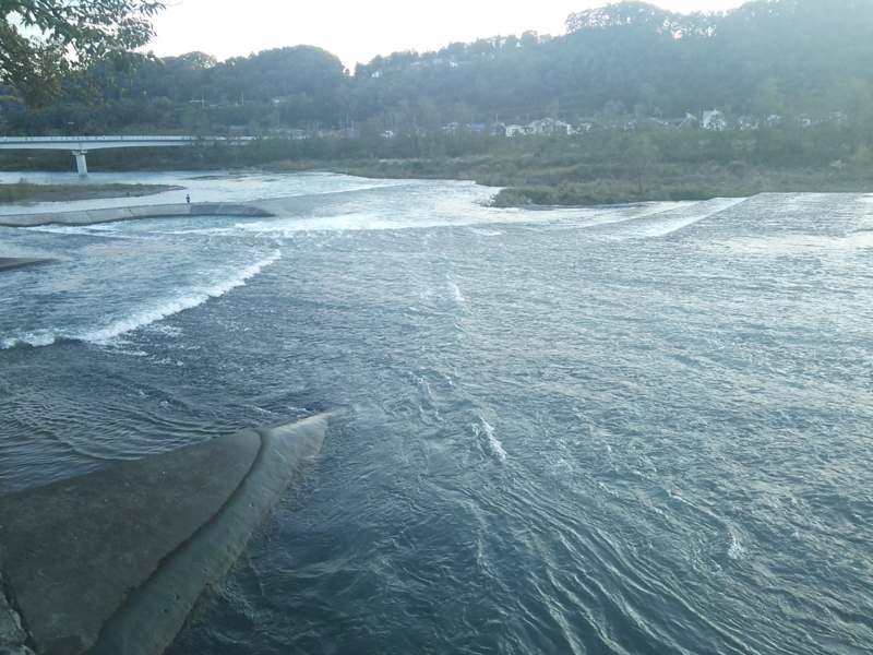 f:id:rankastar:20131027162434j:image:w360
