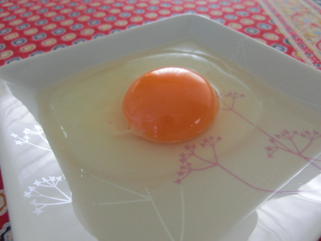 f:id:rankingwatcher:20161005003137j:plain f:id:rankingwatcher:20161005003137j:plain