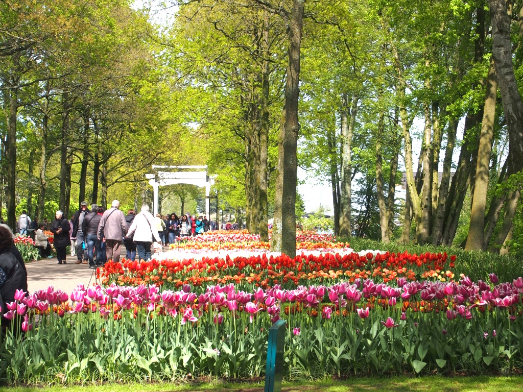 キューケンホフ公園