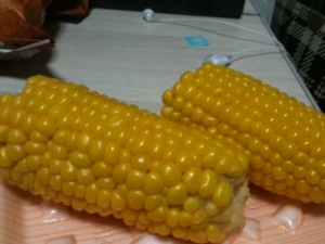 f:id:ranma64:20110819222908j:image