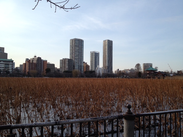 f:id:ranma64:20140210154706j:image