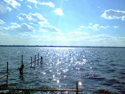 f:id:ranpie:20070312013729j:image