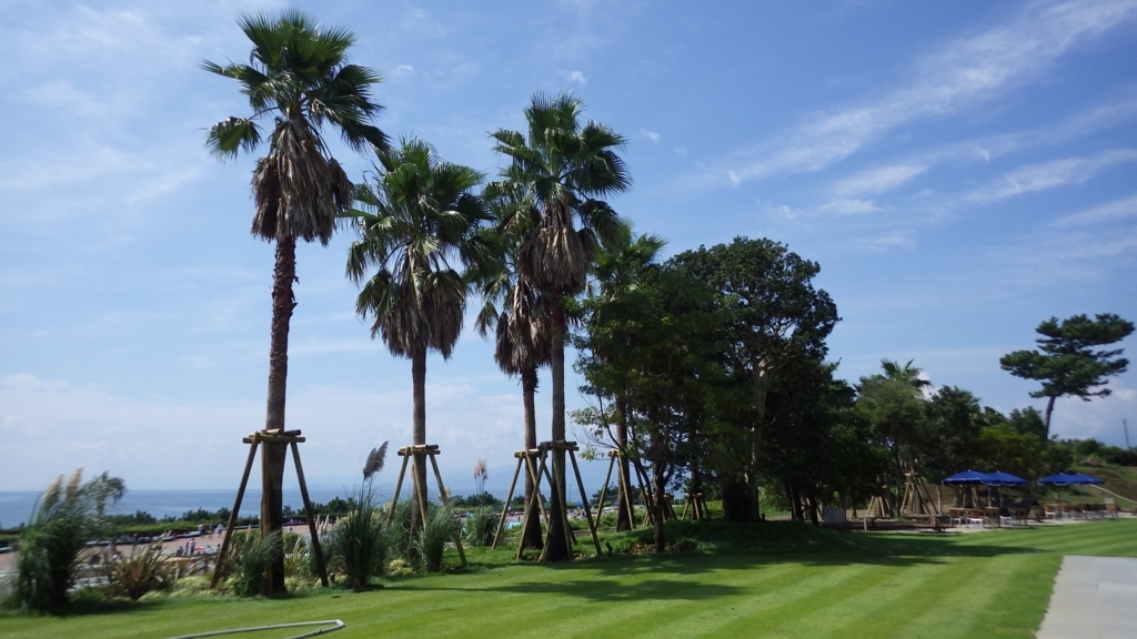 f:id:ranranrantan:20170927225117j:plain