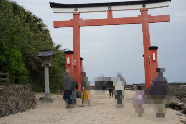 f:id:ranranrantan:20190415224330j:plain