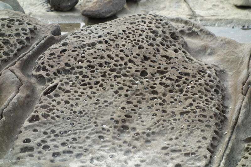 f:id:ranranrantan:20190418214444j:plain