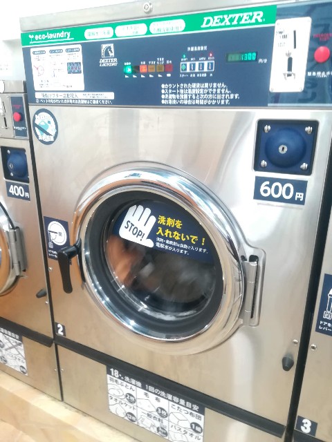 f:id:ranranrantan:20190512122921j:image