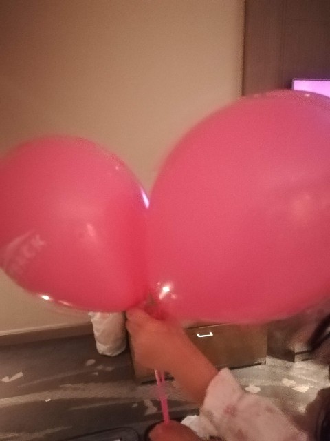 f:id:ranranrantan:20190512125040j:image