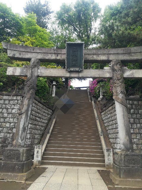 f:id:ranranrantan:20190528224121j:image