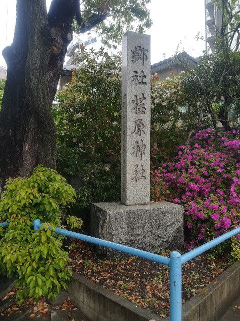 f:id:ranranrantan:20190604232623j:image