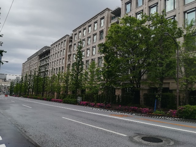 f:id:ranranrantan:20190604233300j:image