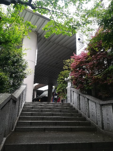 f:id:ranranrantan:20190604233956j:image