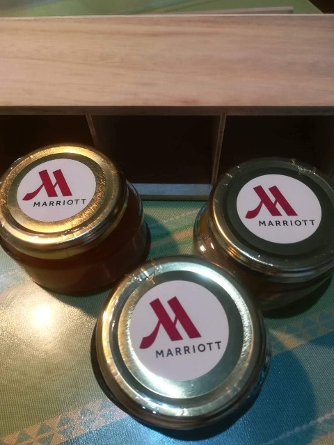 f:id:ranranrantan:20190608141858j:image