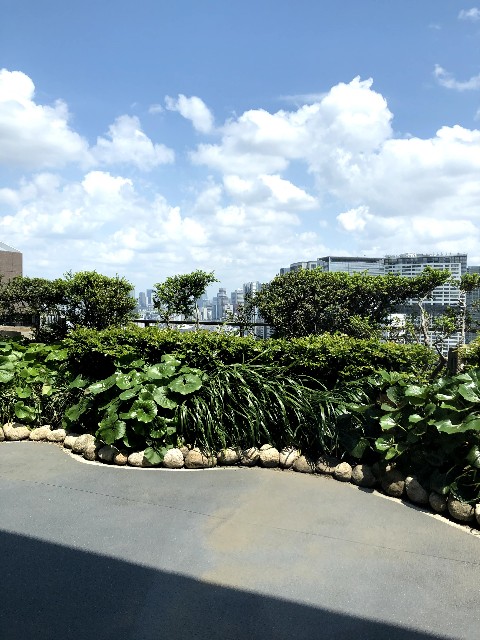 f:id:ranranrantan:20190608142956j:image