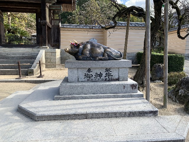 f:id:ranranrantan:20240228110056j:image