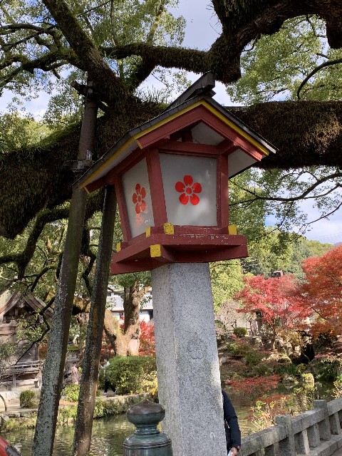 f:id:ranranrantan:20240228110734j:image