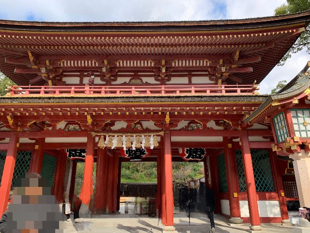 f:id:ranranrantan:20240609143615j:image