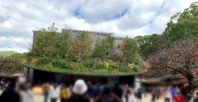 f:id:ranranrantan:20240609143626j:image