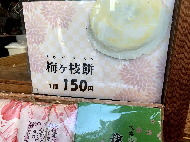 f:id:ranranrantan:20240609144959j:image