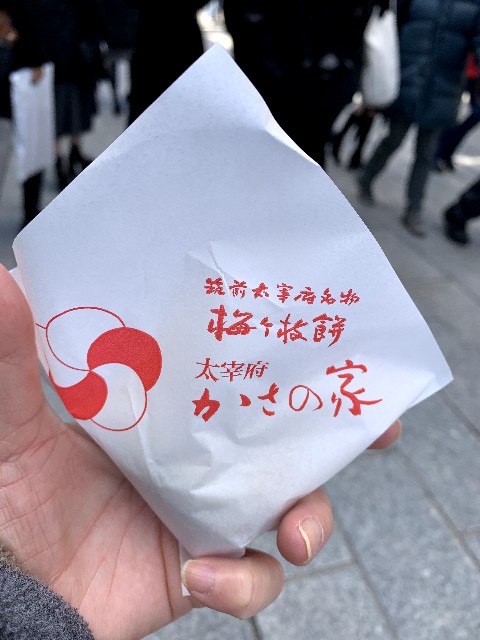 f:id:ranranrantan:20240609145153j:image