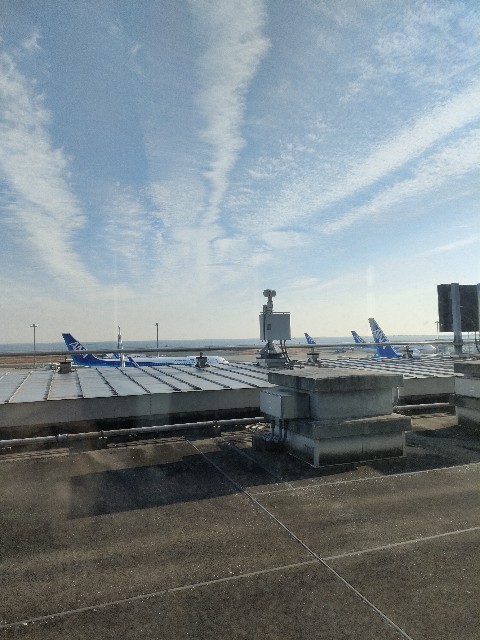 f:id:ranranrantan:20241208225607j:image