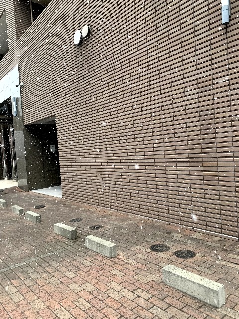 f:id:ranranrantan:20241208232229j:image