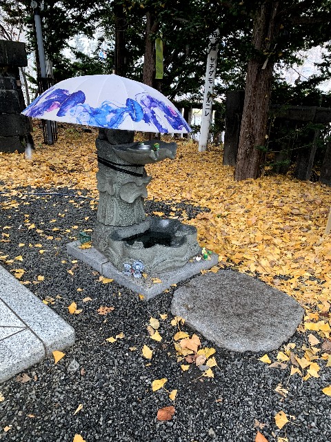 f:id:ranranrantan:20241208232629j:image