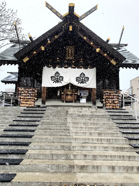 f:id:ranranrantan:20241208232739j:image