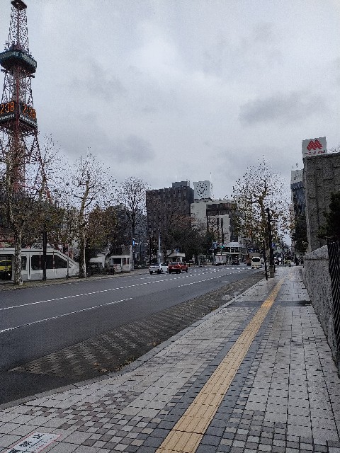 f:id:ranranrantan:20241208233412j:image