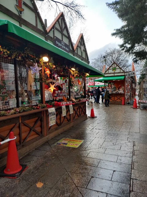 f:id:ranranrantan:20241208233452j:image