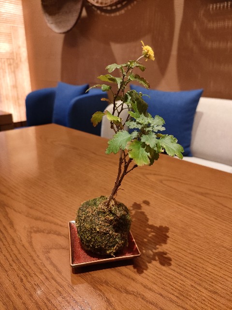 f:id:ranranrantan:20250212230917j:image