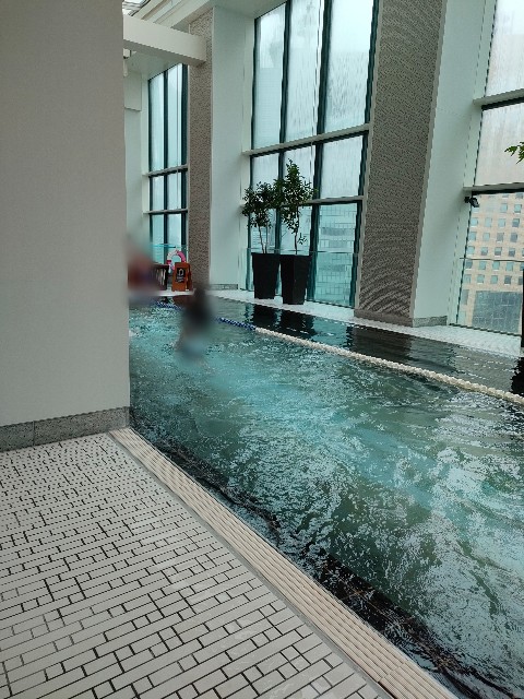 f:id:ranranrantan:20250425213449j:image
