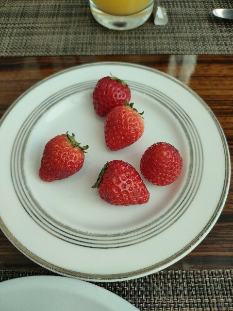 f:id:ranranrantan:20250606132501j:image