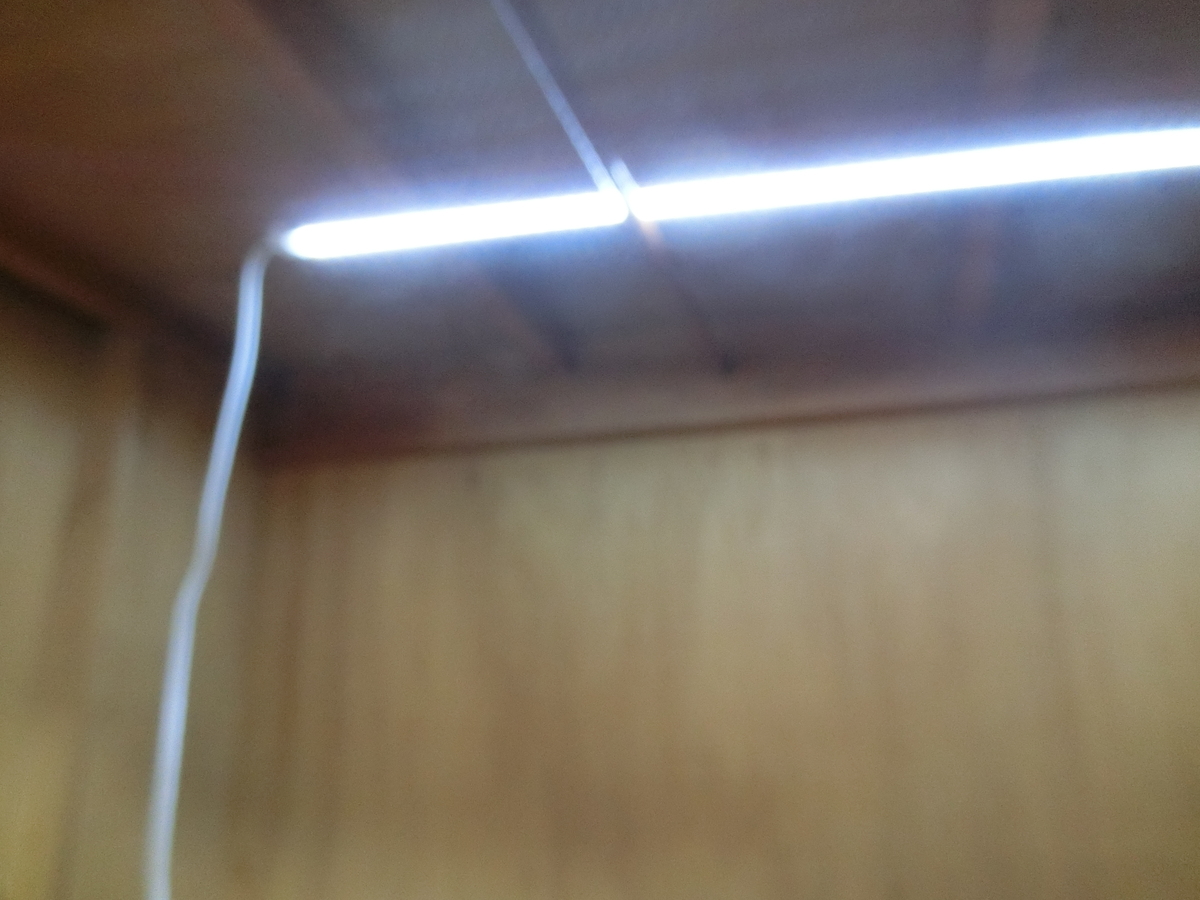 f:id:ranruu:20190731202902j:plain f:id:ranruu:20190731202902j:plain