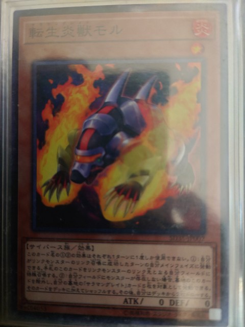 f:id:ranyoku:20201209002818j:image f:id:ranyoku:20201209002818j:image