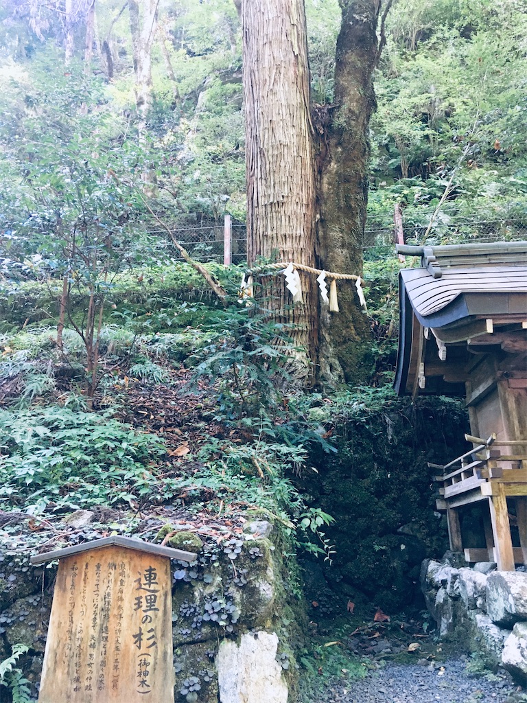 f:id:rapha8741:20221001191203j:image