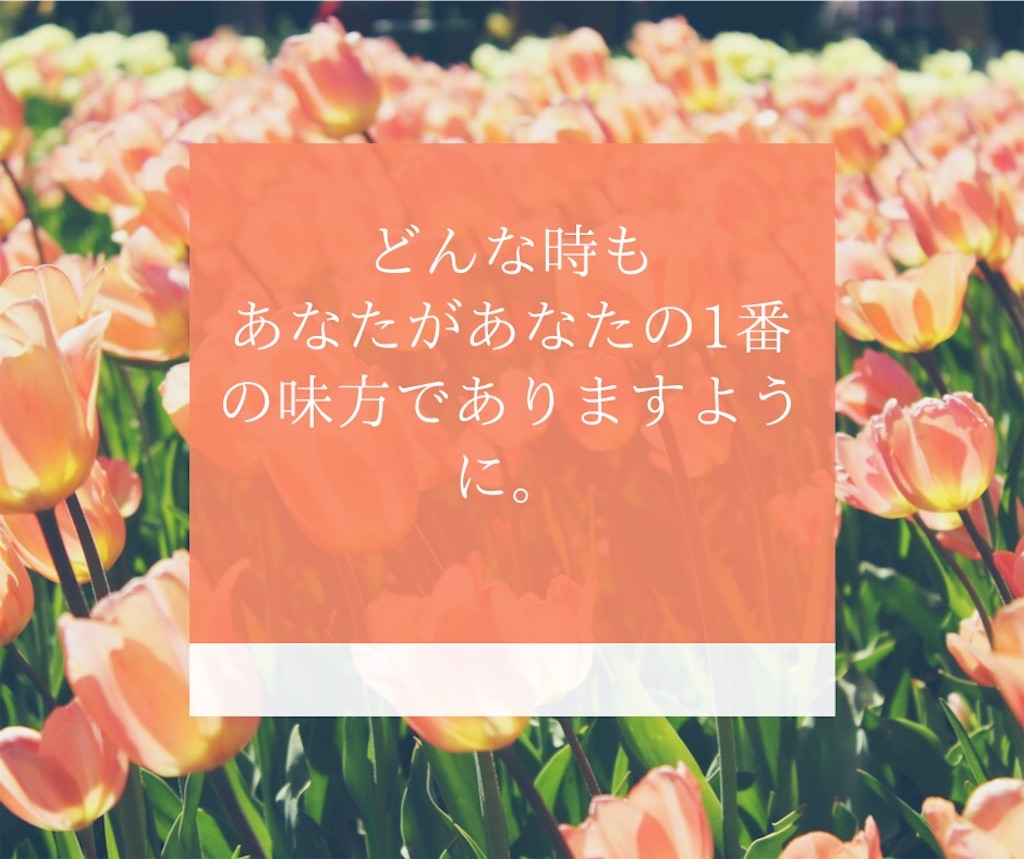 f:id:rapha8741:20230417152832j:image