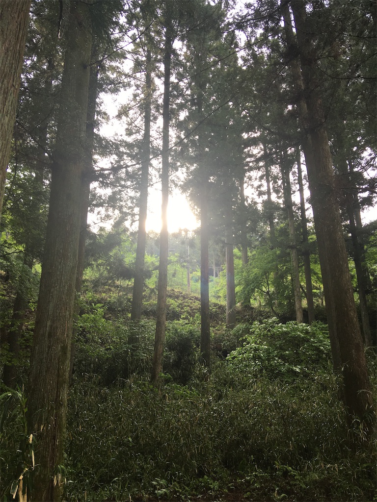 f:id:rapha8741:20260513193337j:image